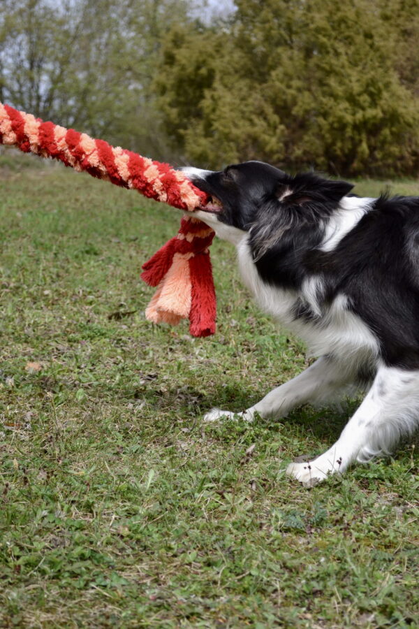 Szarpak Shaggy dla psa KREATOR