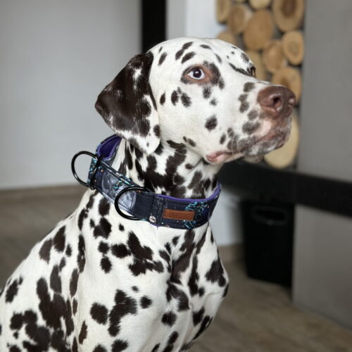 Szeroka obroża półzaciskowa dla psa