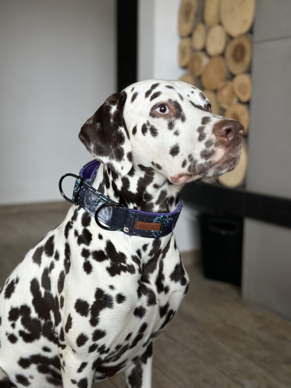 Szeroka obroża półzaciskowa dla psa